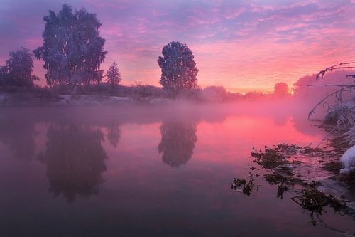 во власти розового