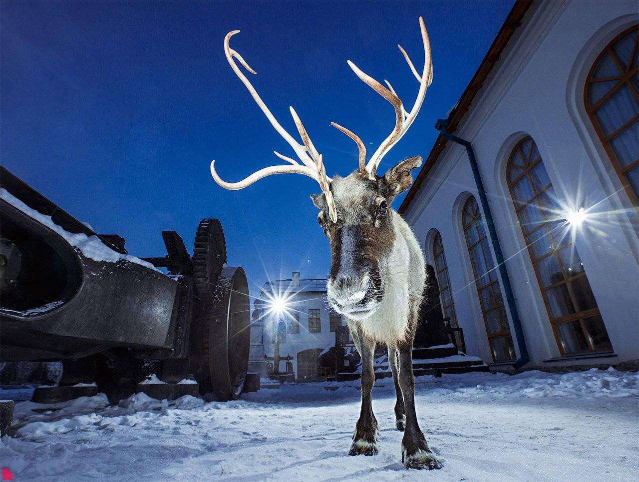 , Осипов Ёжъ Александр