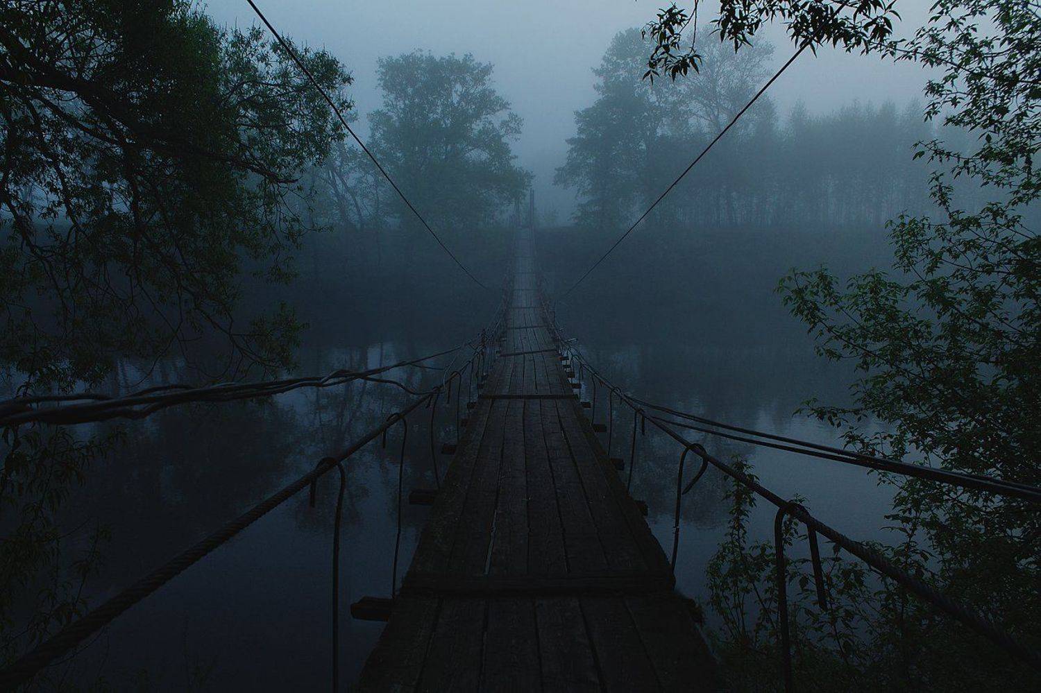 брянск, десна, хотылево, утро, рассвет, лето, мост,алексей платонов, Платонов Алексей