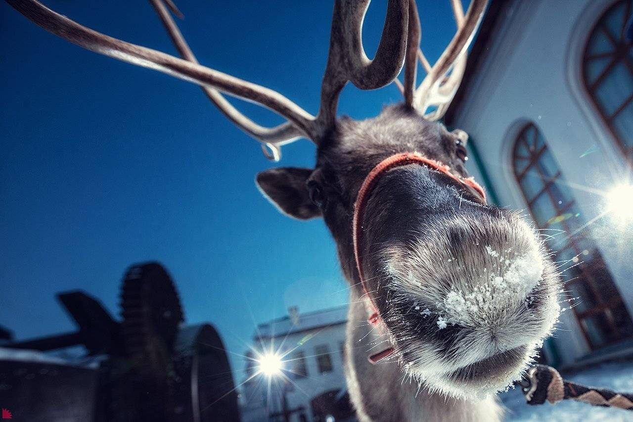 , Осипов Ёжъ Александр