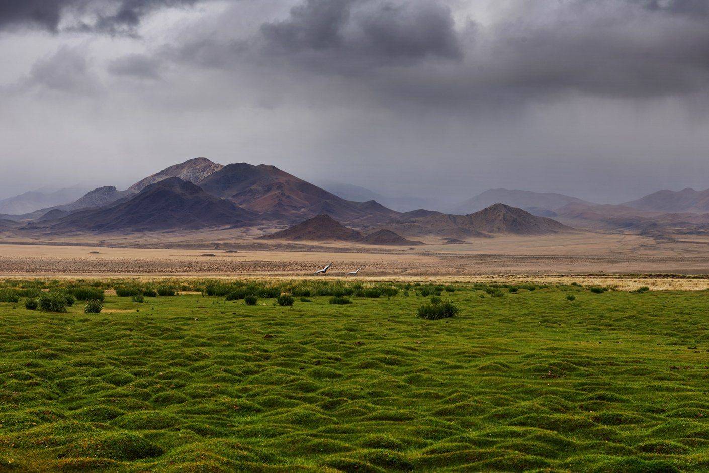 , Сергей Романчук