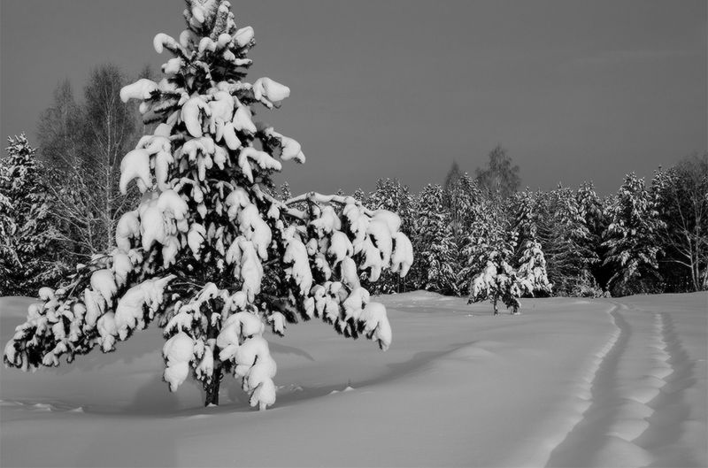 Ч\\Б ЗИМА фото превью