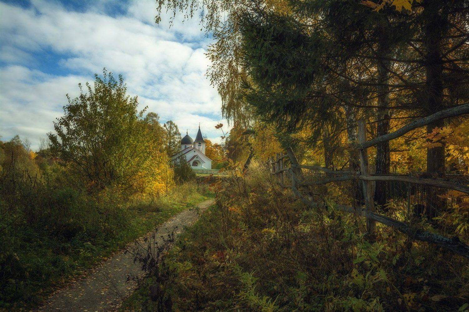 , Анатолий Зверев