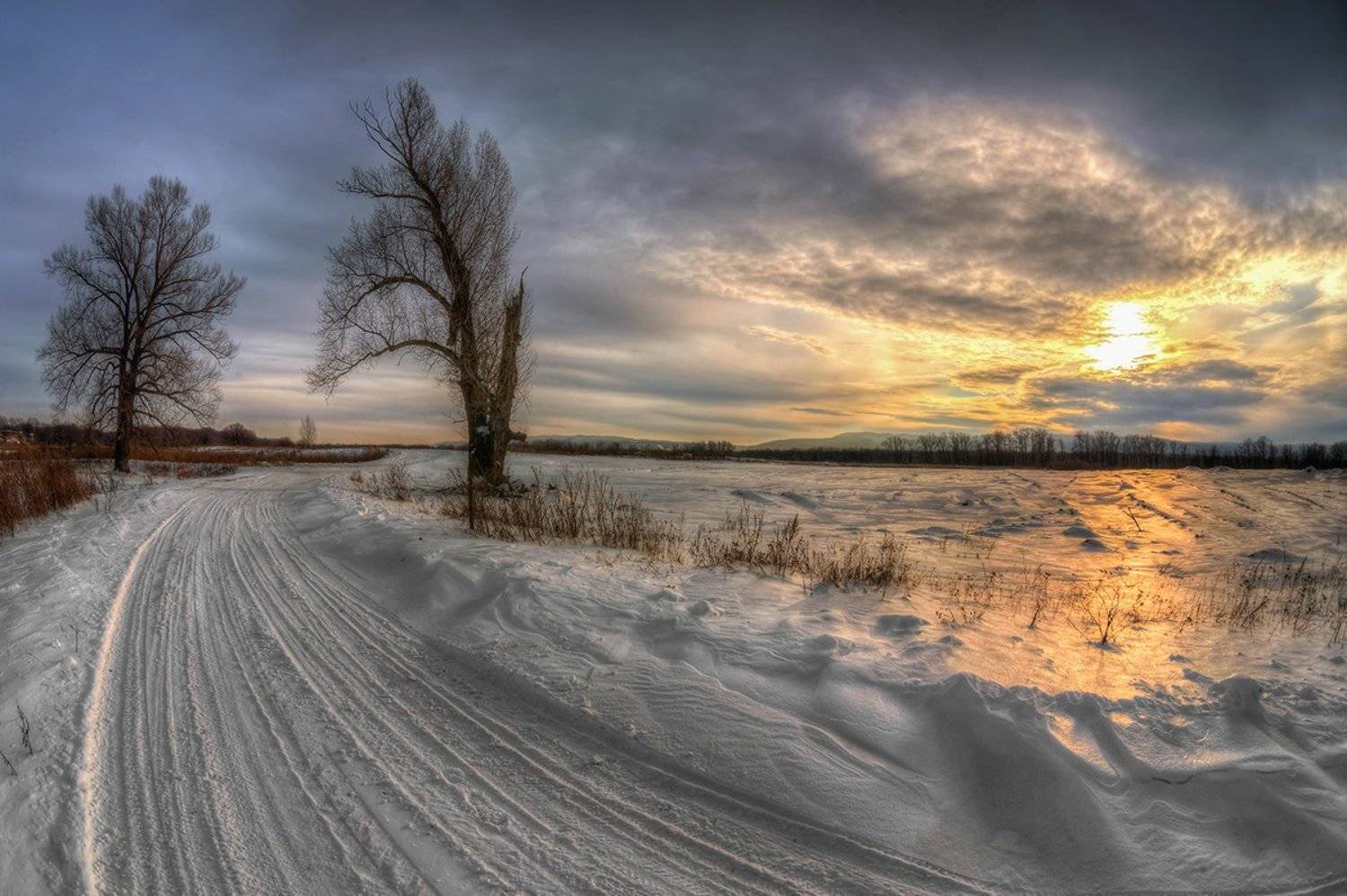 , Влад Шерман