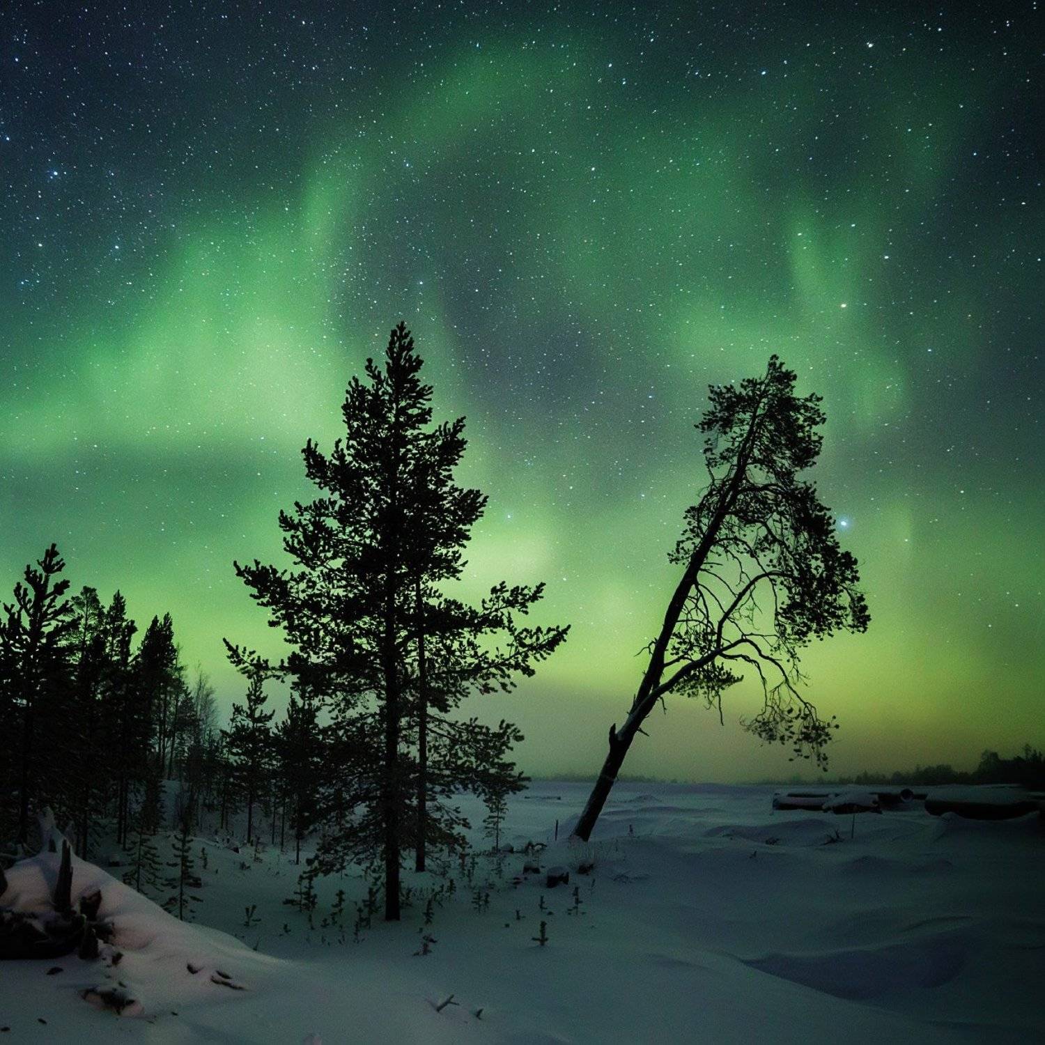 , Коровин Кирилл