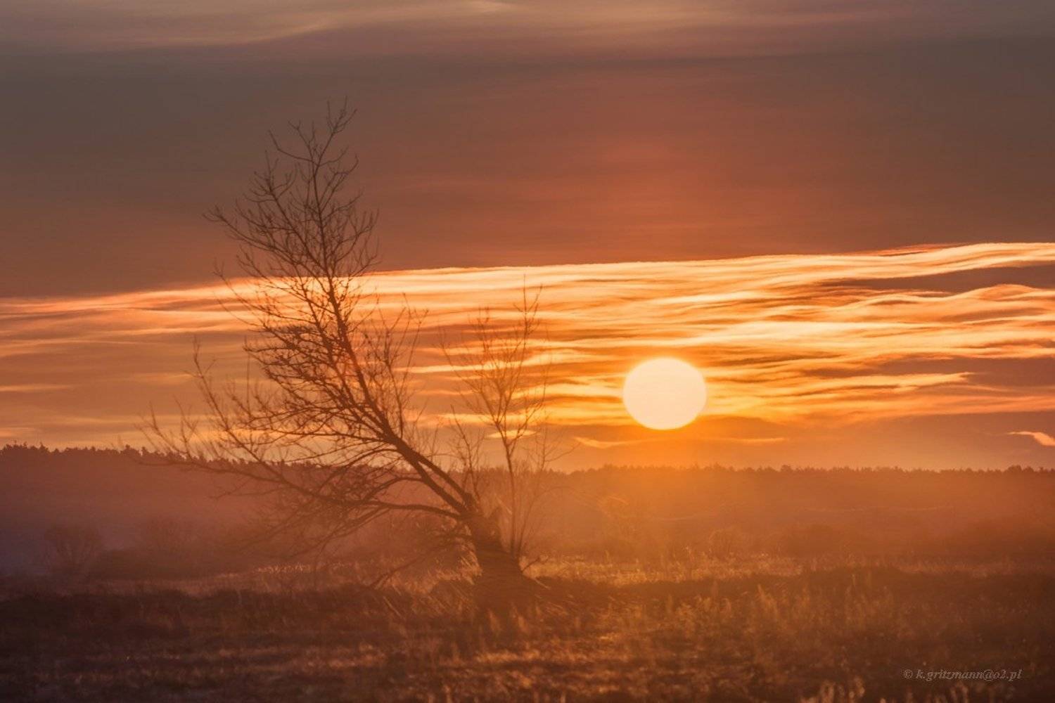 , Katarzyna Gritzmann