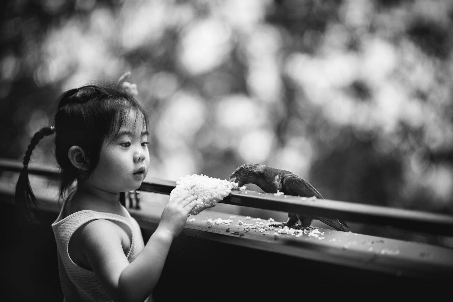 breakfast, kid, feeding, connection, girl, cute, parrot, lorikeet, bird, child, candid, Derek Zhang