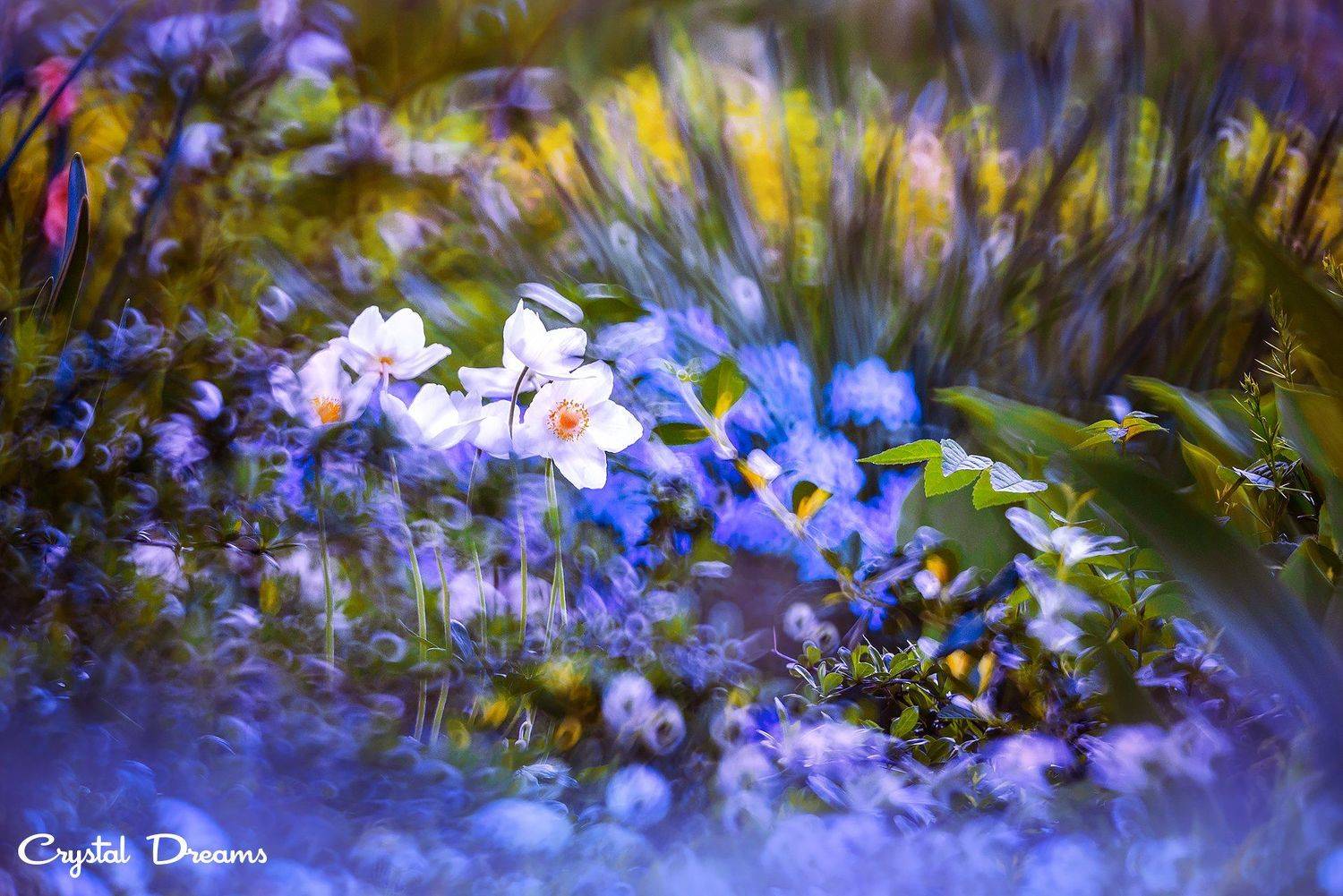 crystal dreams, macro, summer, color, art, nature,, Татьяна Крылова