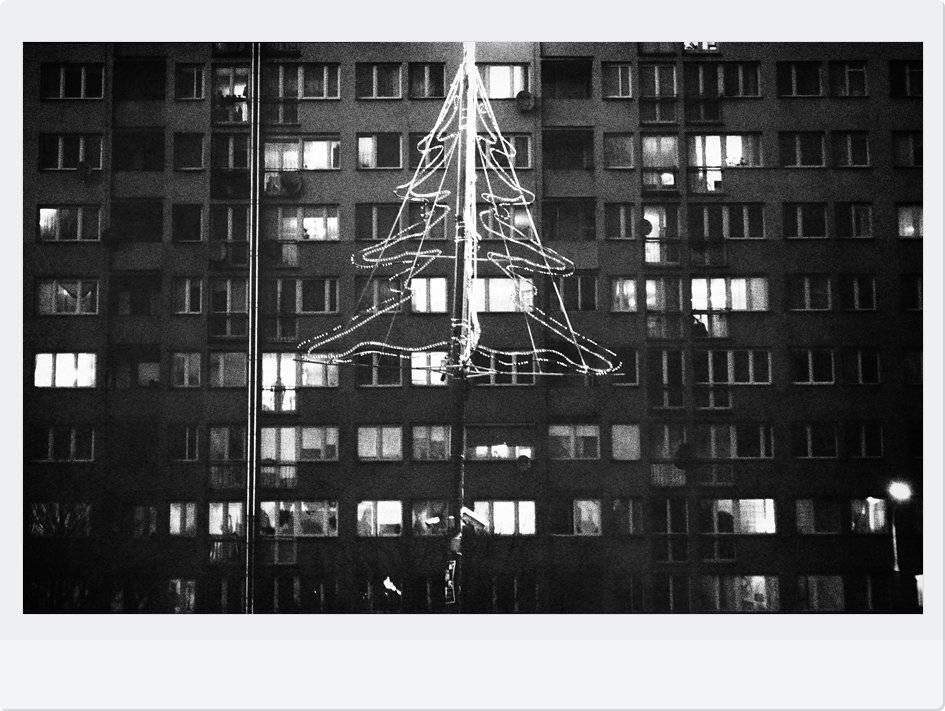 , Krzysztof Trojanowski