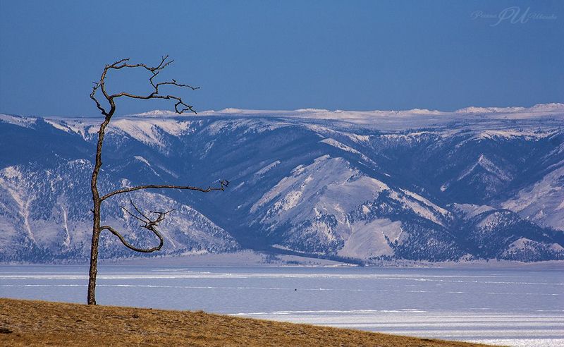 Танцующая. Остров Ольхон. Байкал. Залив Малое море. фото превью