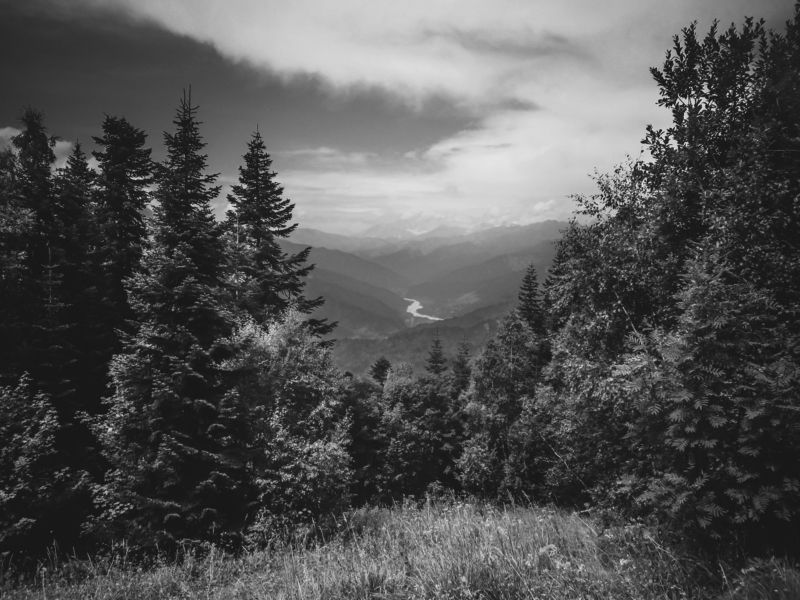 . фото превью