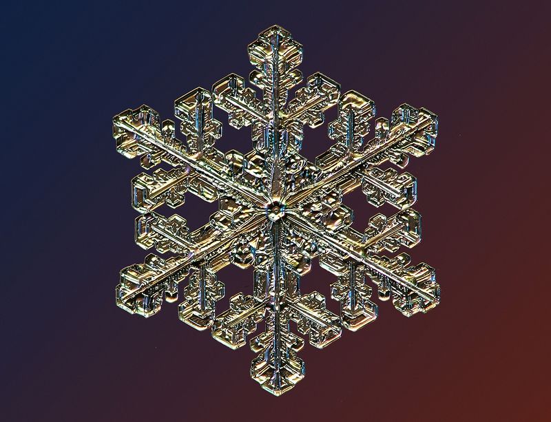 Где ж ты, зимушка-зима? фото превью