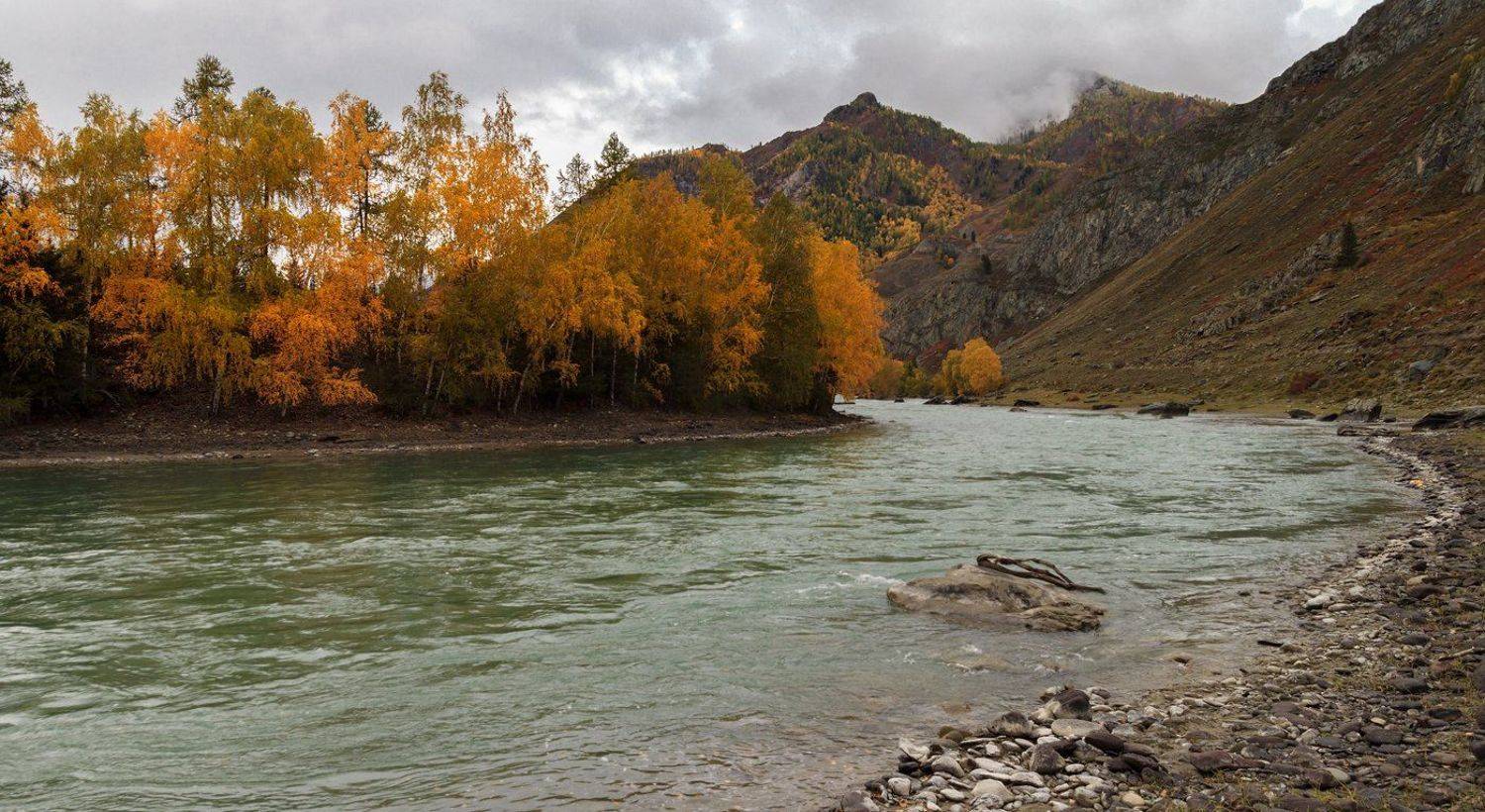 , Дмитрий Д.