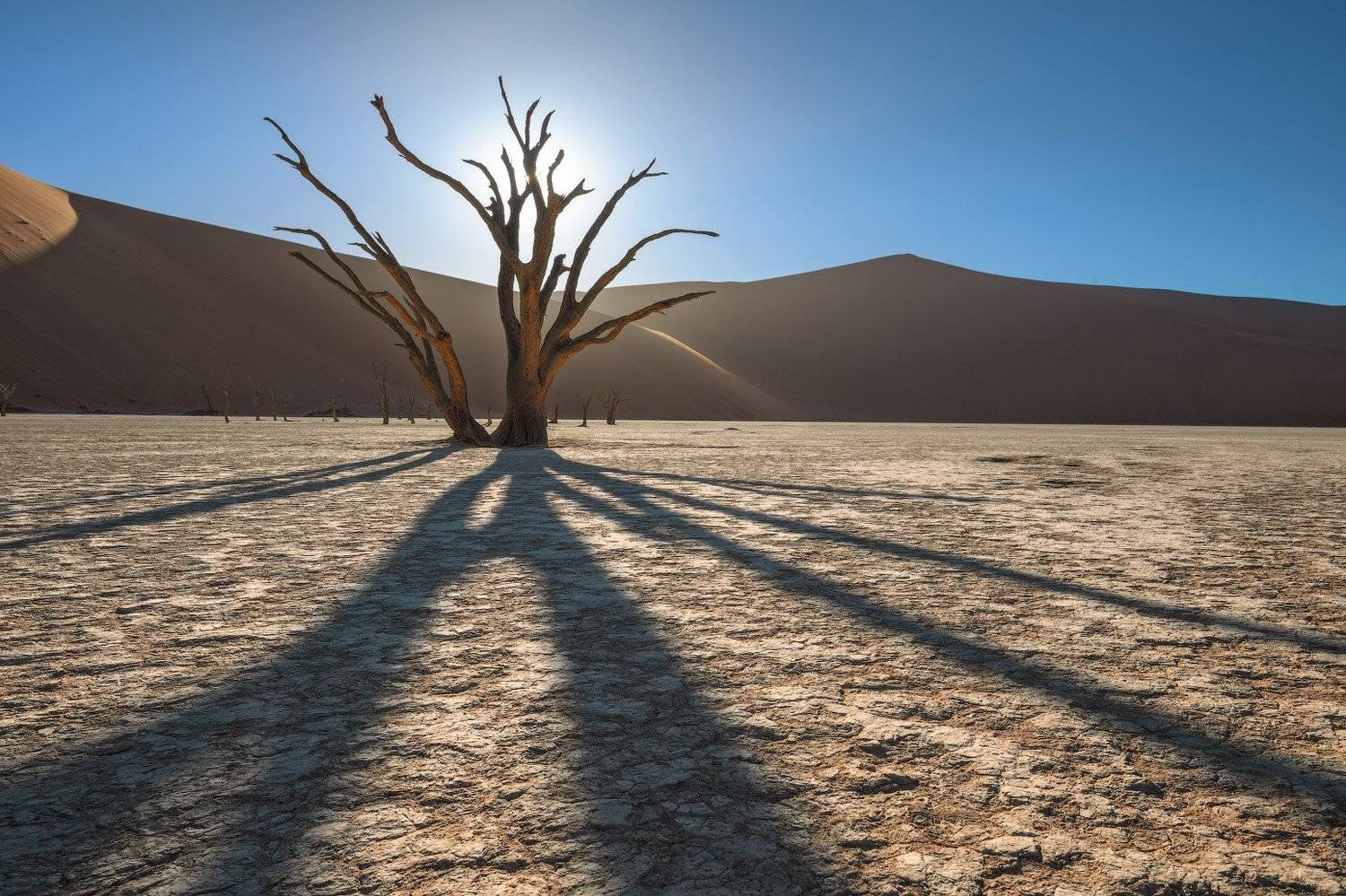 , Андрей Ведерников