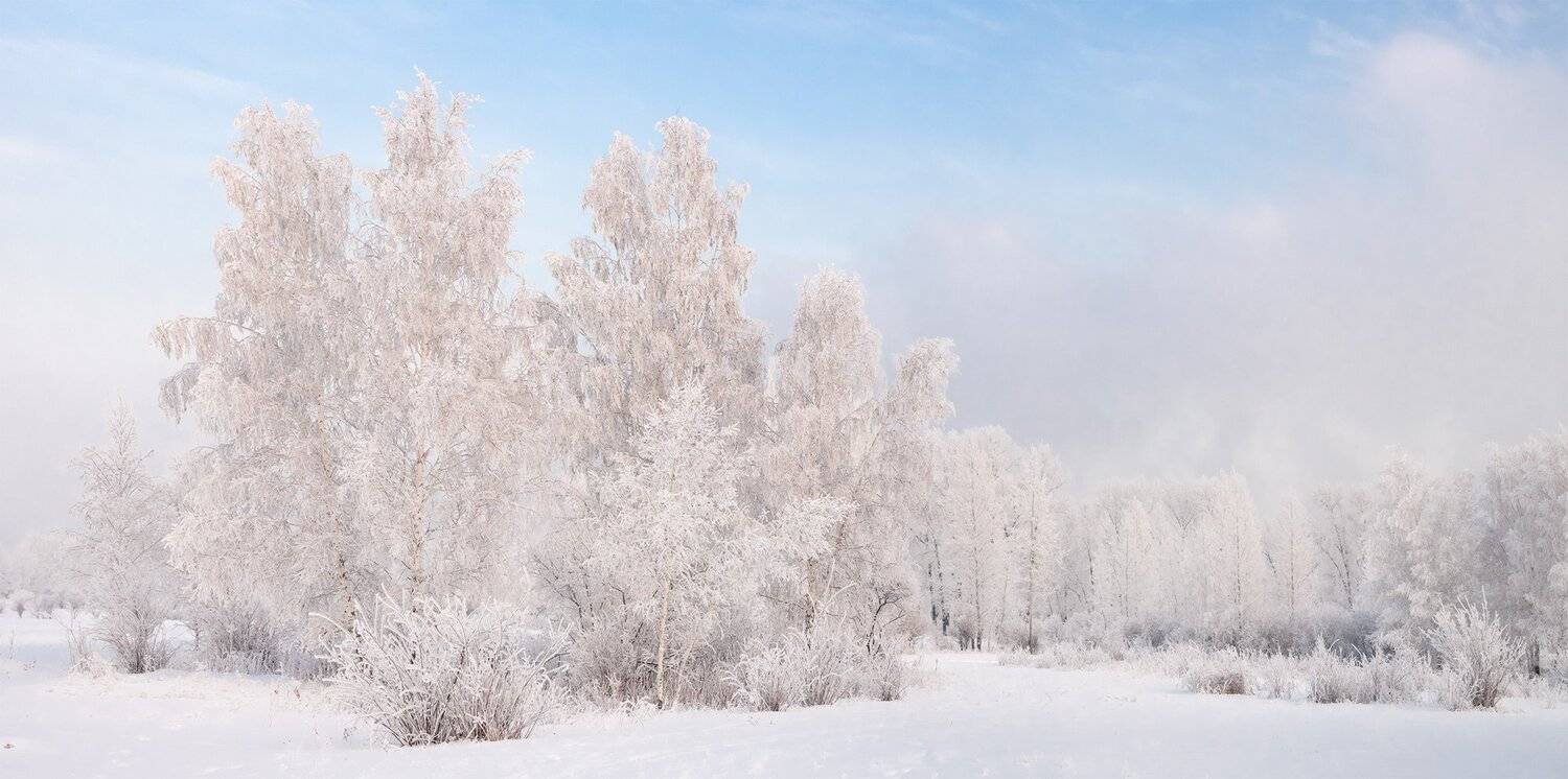 , Лещёнок Александр