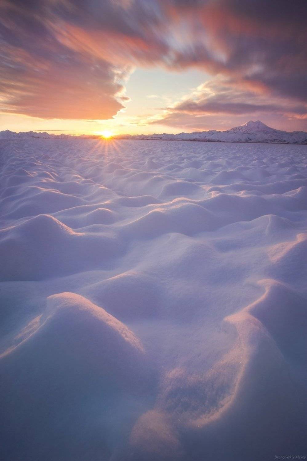 , Алексей Дранговский