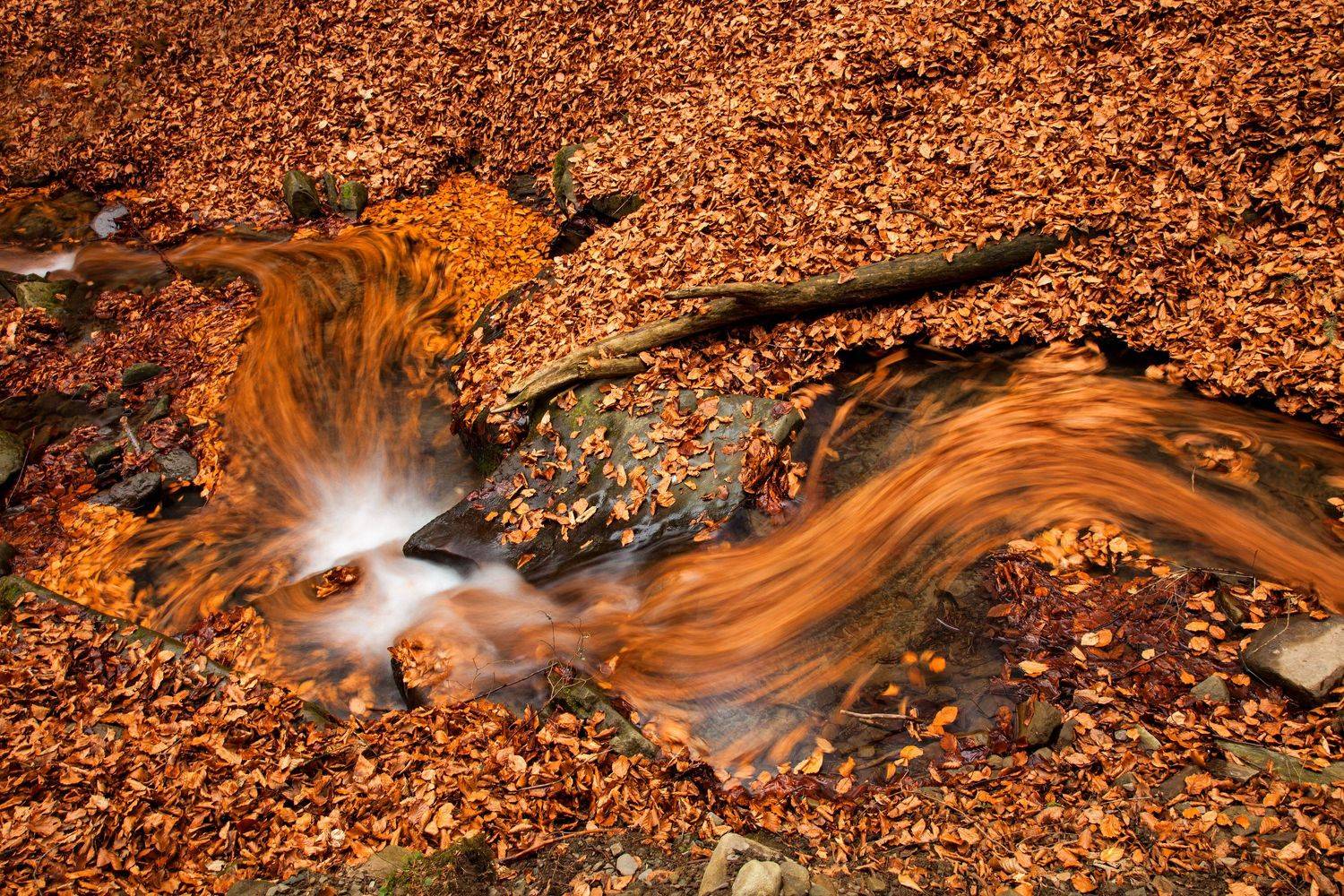 , Silvestr Szab&oacute;