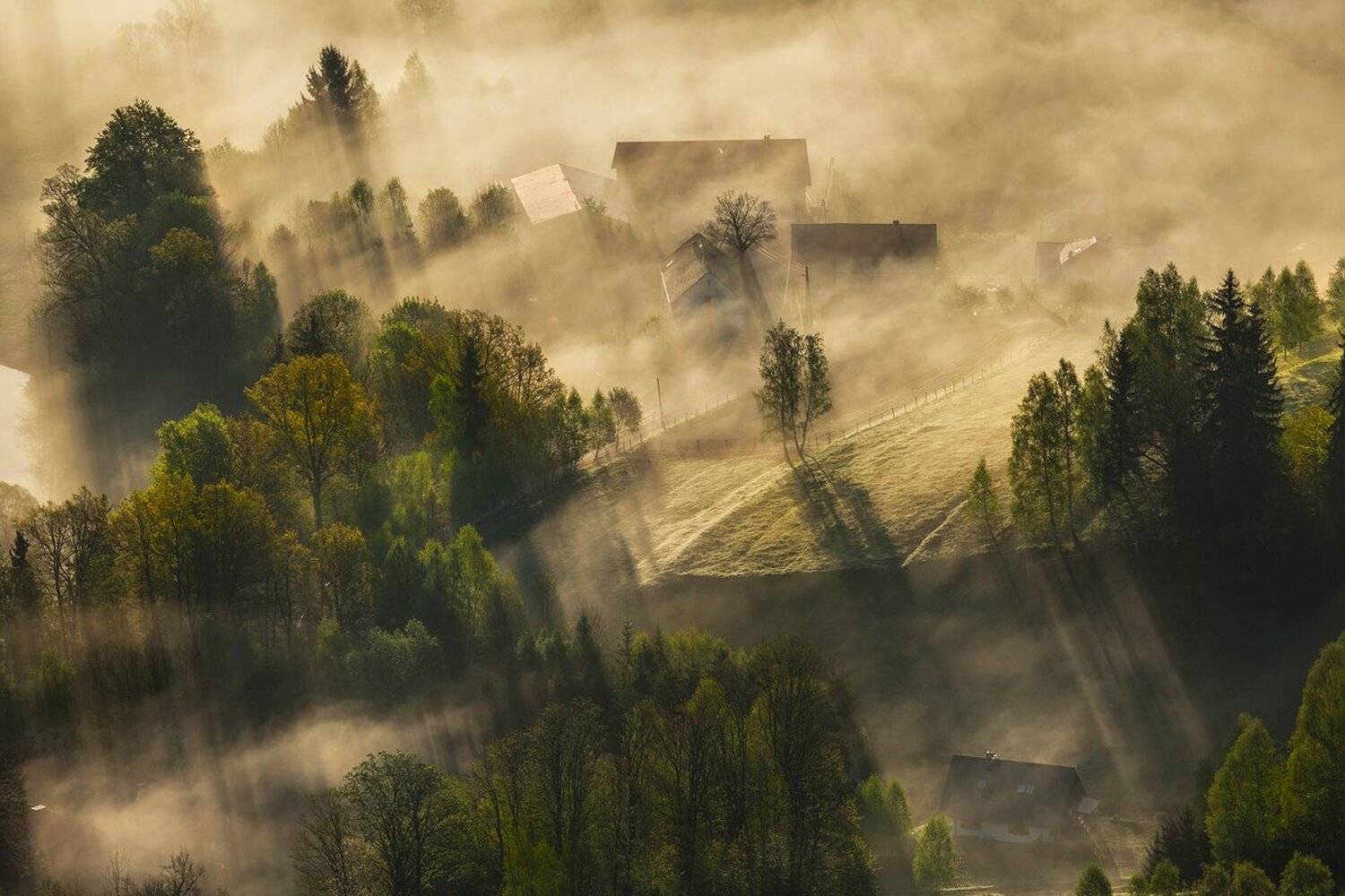 landscape,canon,light,spring, Iza,Darek
