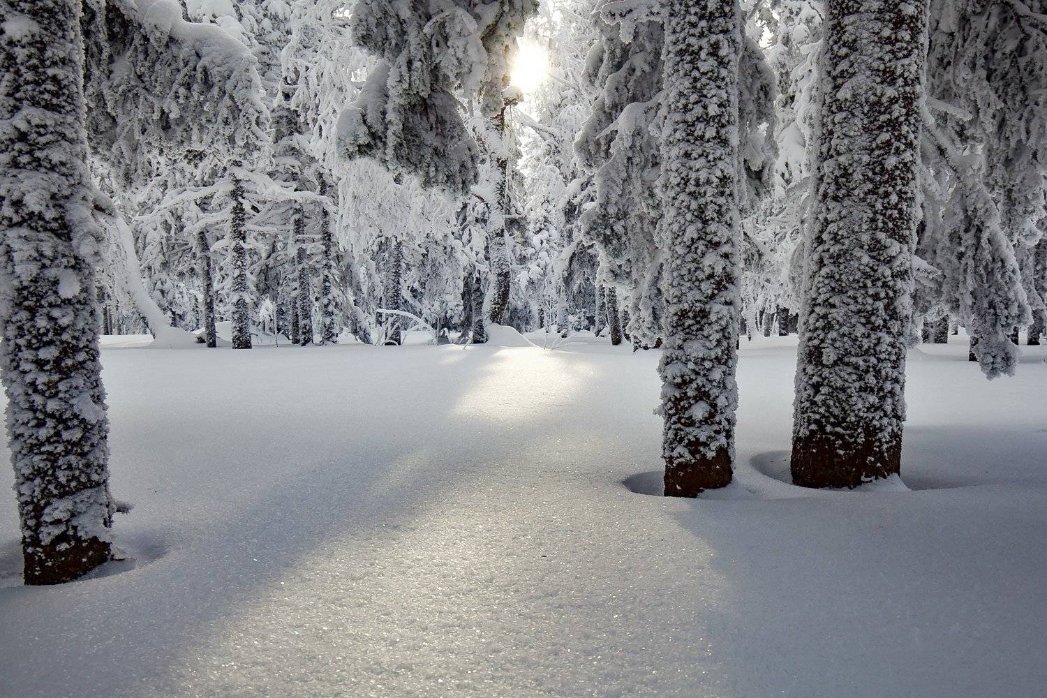 , Сергей Евдокимов