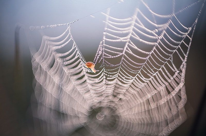 Ювелир фото превью