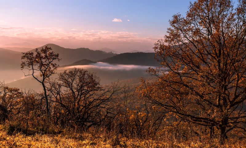 Осень и тихое утро... фото превью