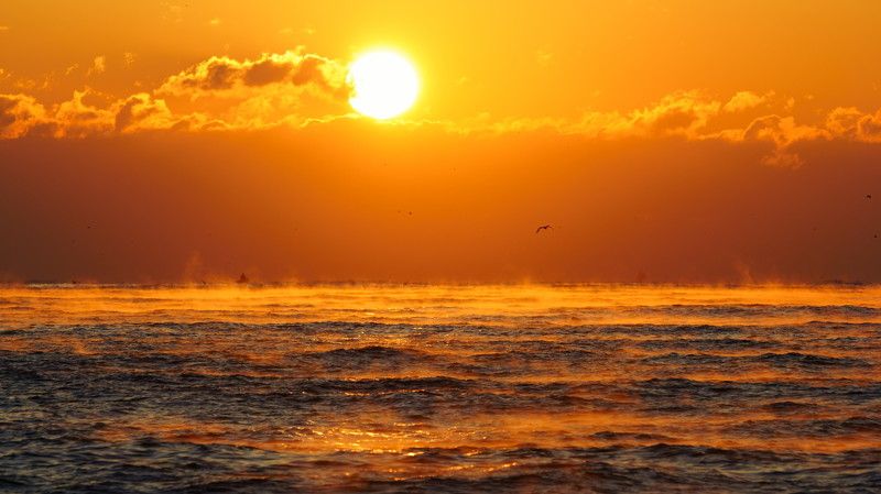 Sunrise фото превью