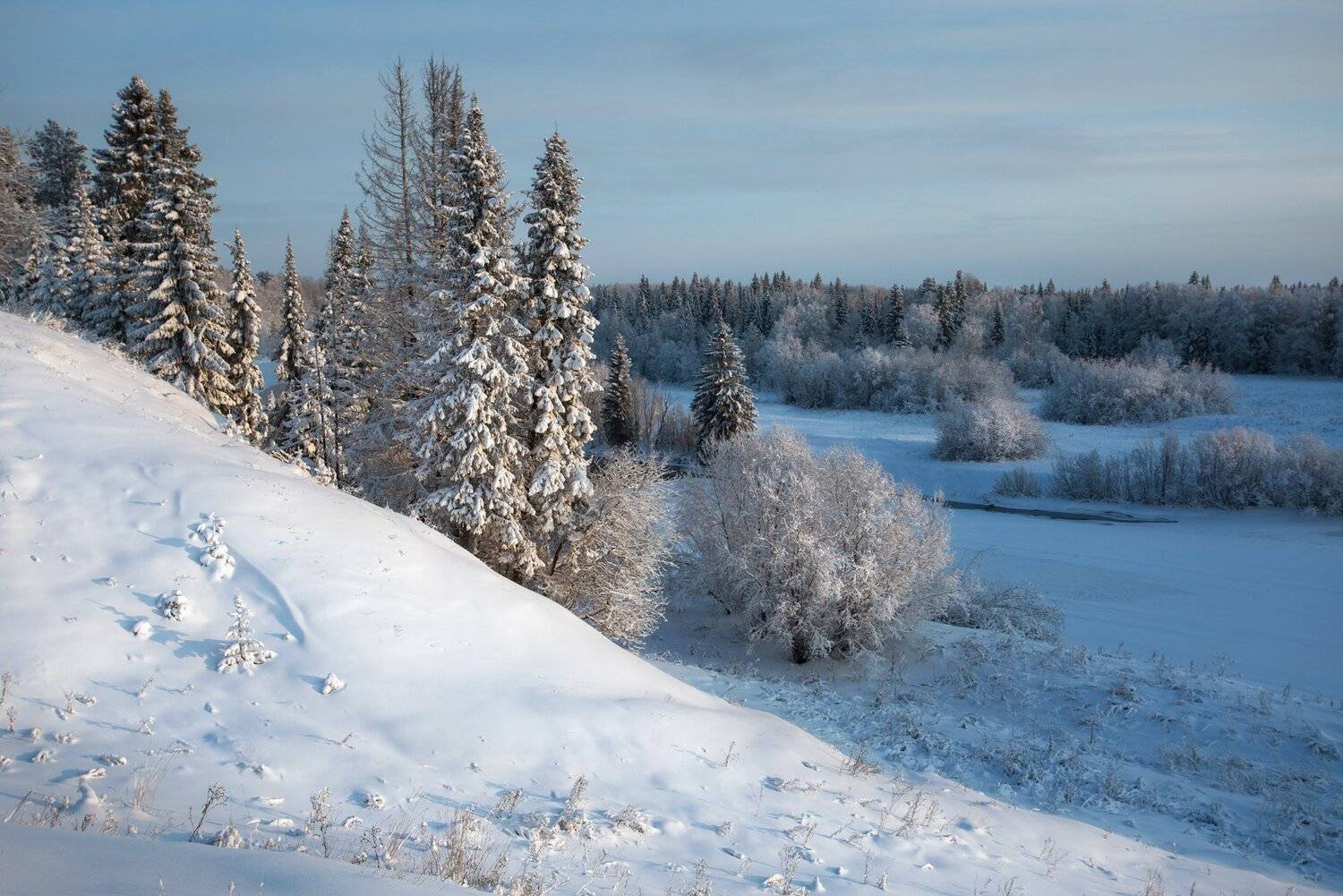, Федотов Сергей