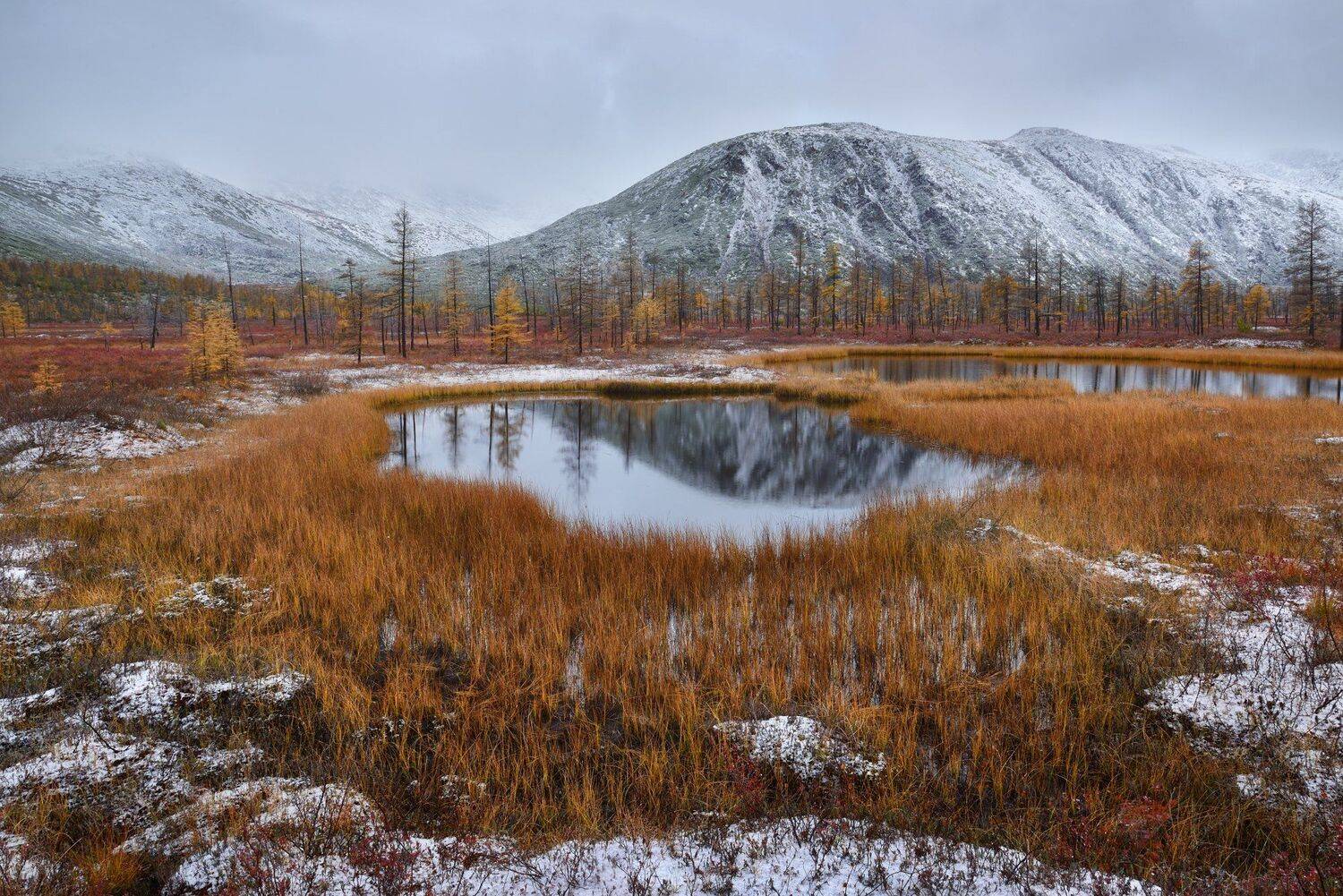 , Максим Евдокимов (www.wildphotorus.ru)