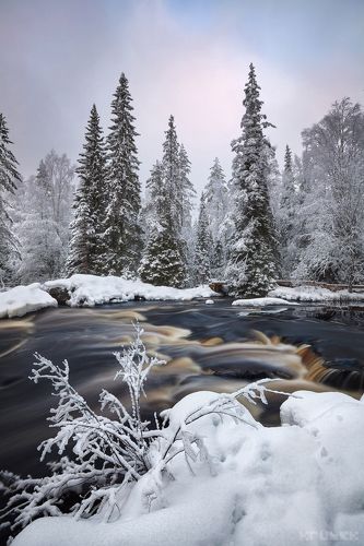 Зимнее очарование