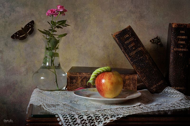 Oruga фото превью