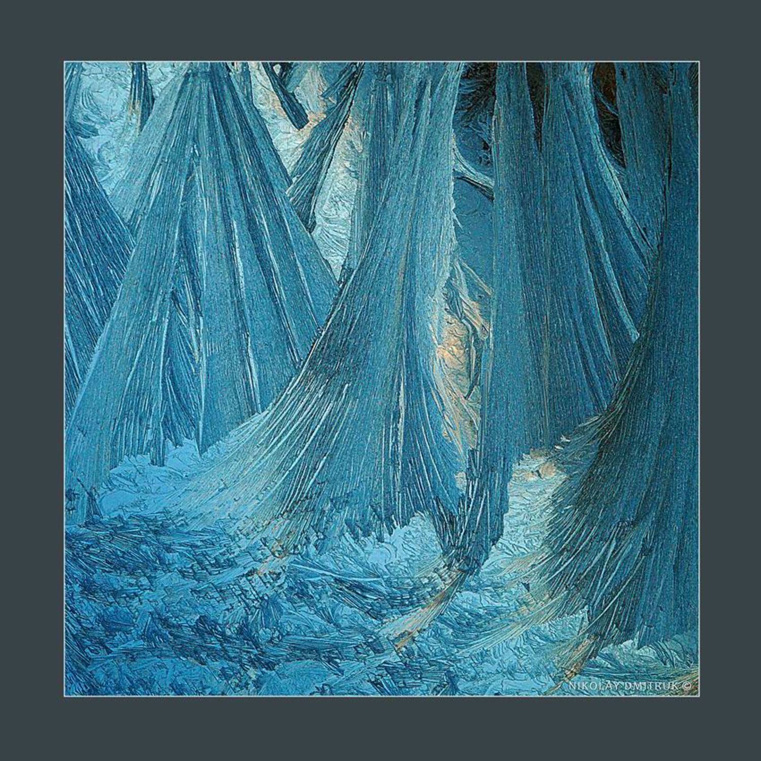 без, категории, природа, север, музыка, николай дмитрук