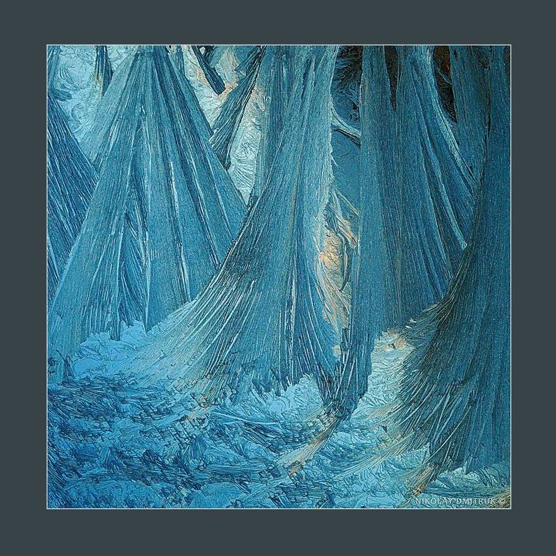 без, категории, природа, север, музыка лес. 2017 фото превью