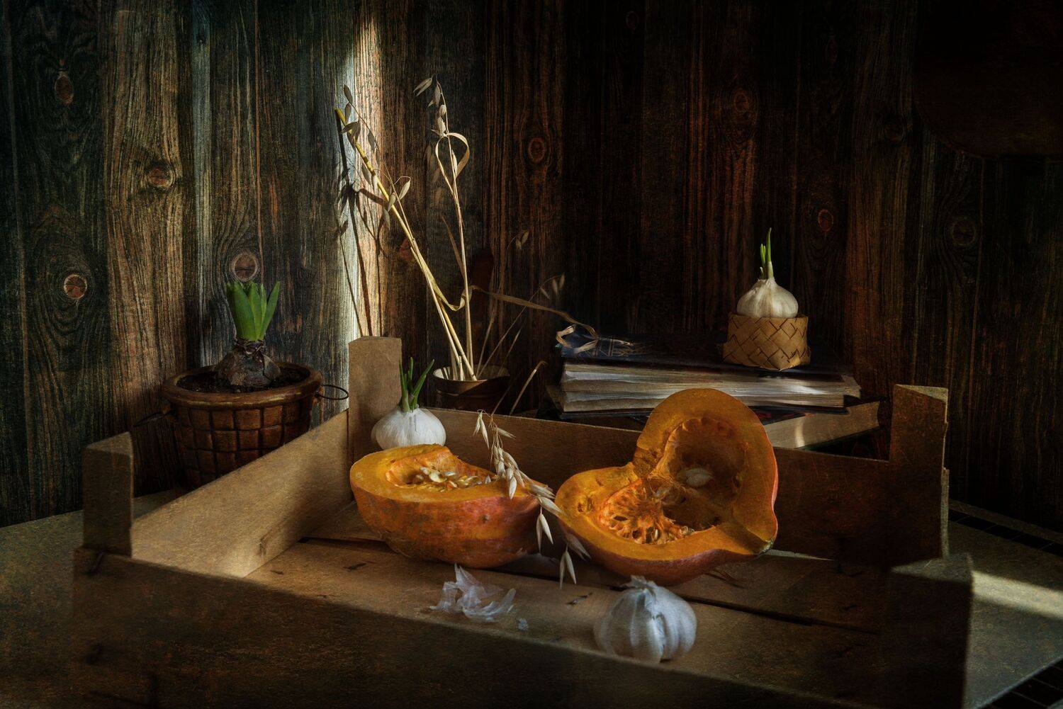 , Ирина Данилова