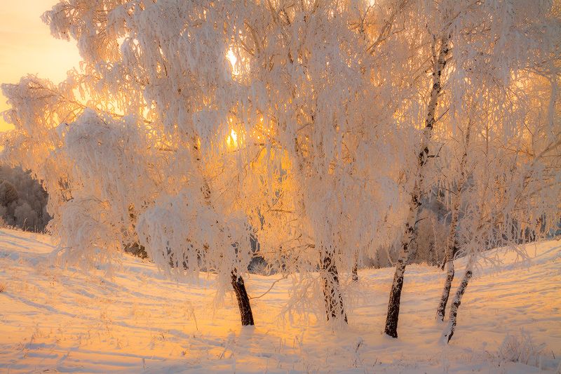 Декабрь фото превью