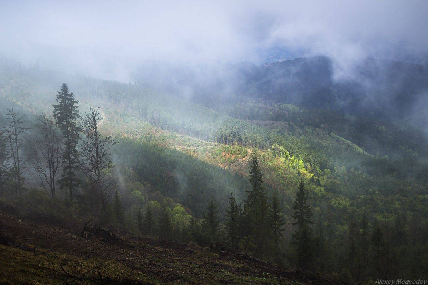  	гори,  Карпати, полонина, скеля, сонце,  Карпаты, лес, Горганы, Алексей Медведев