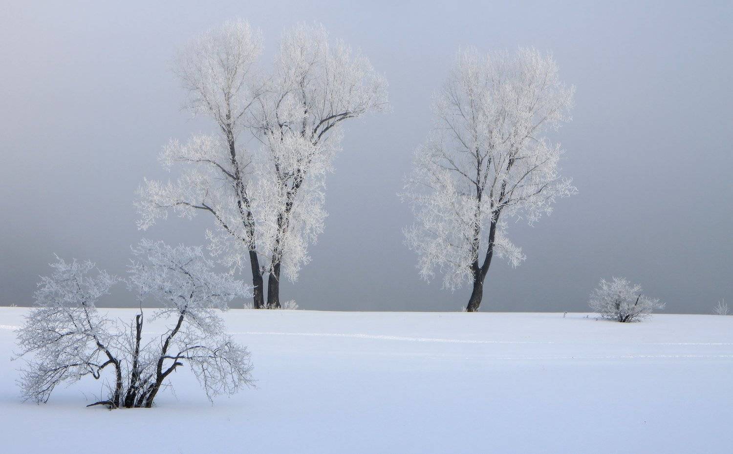 сибирь, новокузнецк, томь, зима, снег, Галина Хвостенко
