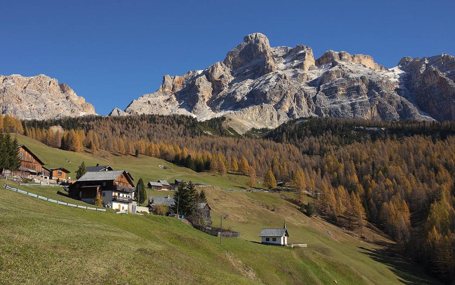 , Игорь Дубровский