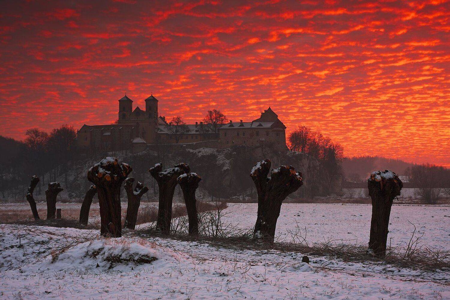 colors, sky, red, clouds, morning, sunrise, tyniec, road, willows, monastery, Jacek Lisiewicz