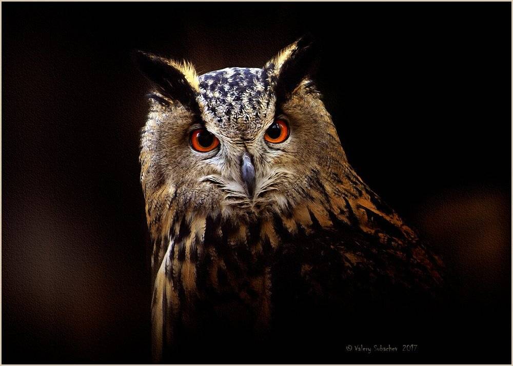 , Валерий Субачев