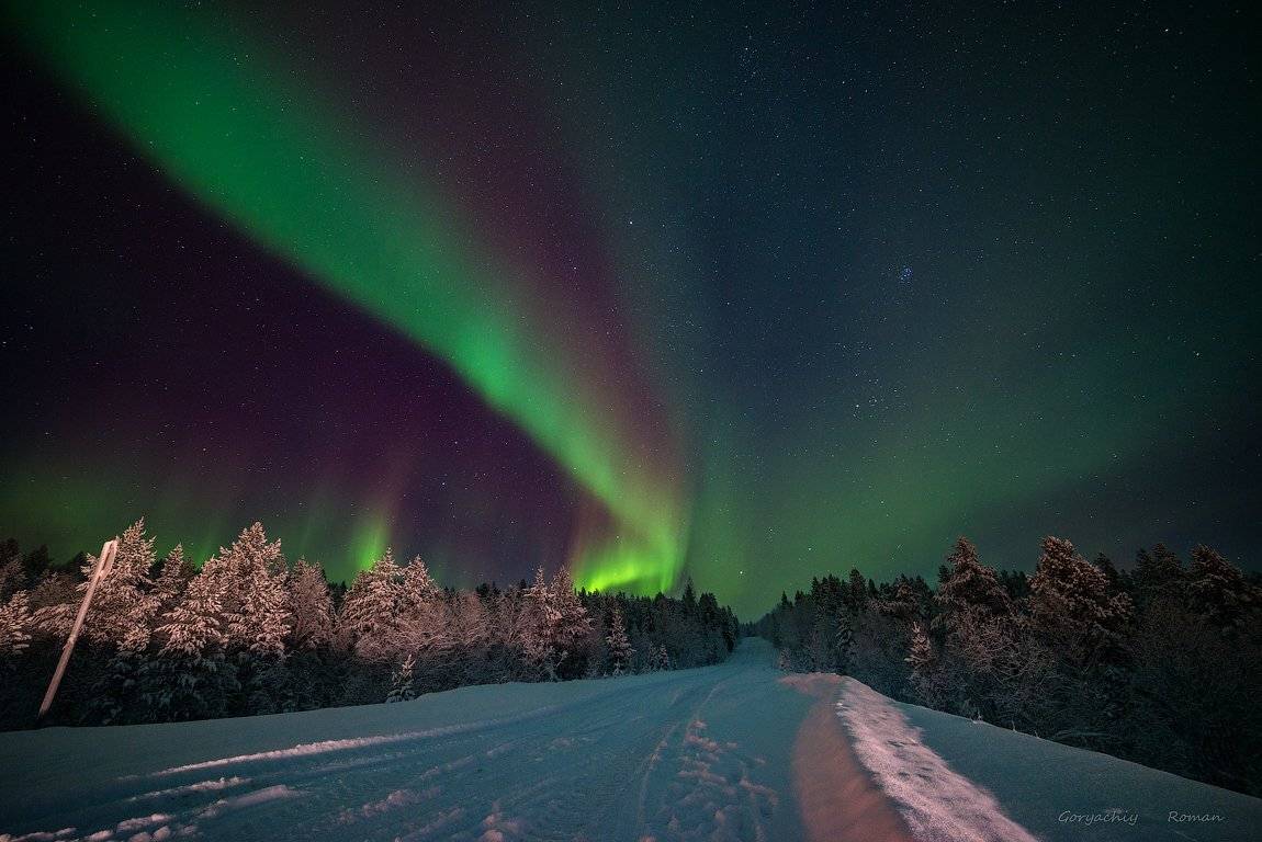 aurora borealis, северное сияние,хибины,север,кольский,заполярье,, Роман Горячий