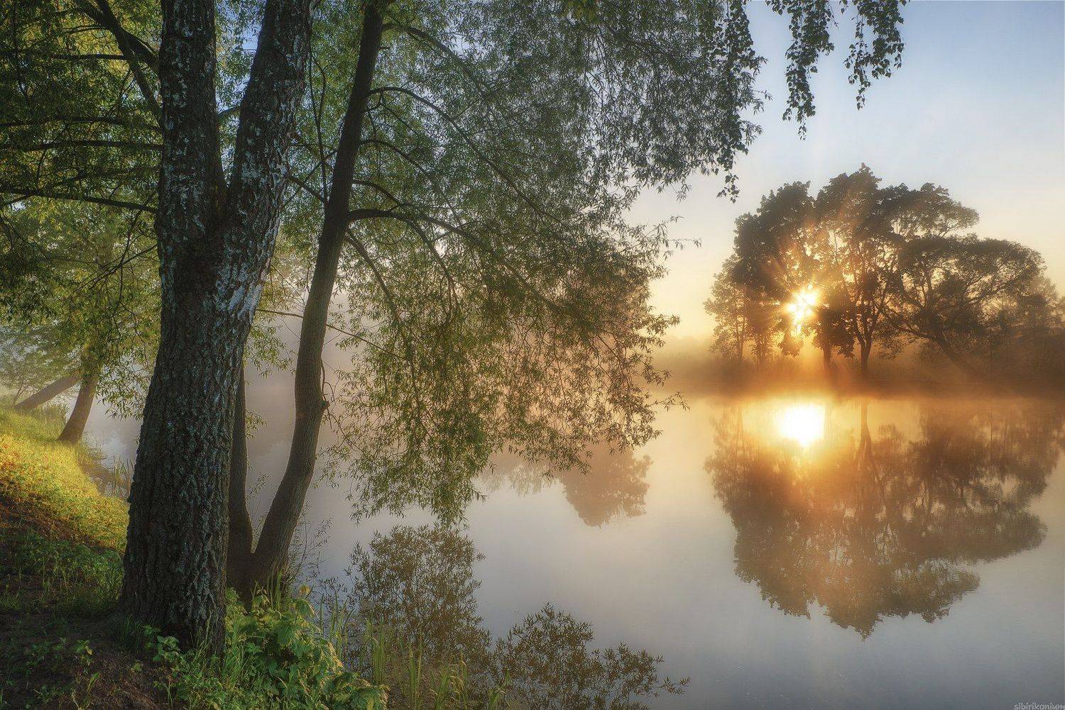 пейзаж туман никон, Морозов Юрий
