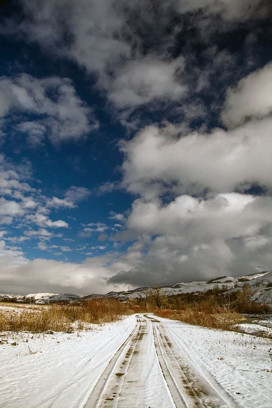 красивый пейзаж,северный кавказ, кисловодск,костюченко людмила. Белоснежные лошадки. фото превью