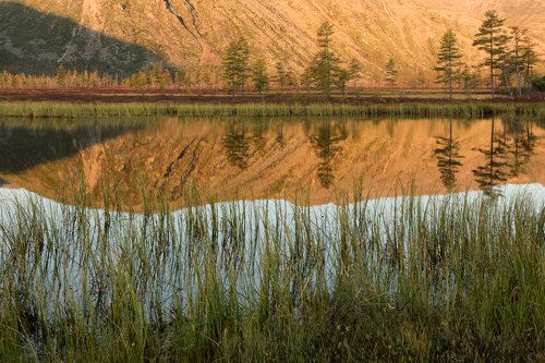 Утренний взгляд в зеркало