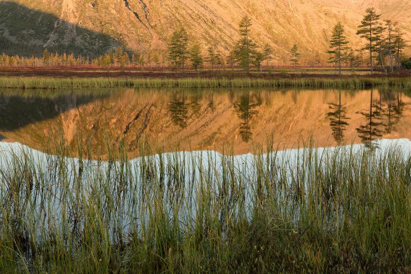 озеро, рассвет, тишина, отражение, деревья, трава, утро, горы, колыма, дальний восток, антон селезнев, осень Утренний взгляд в зеркало фото превью