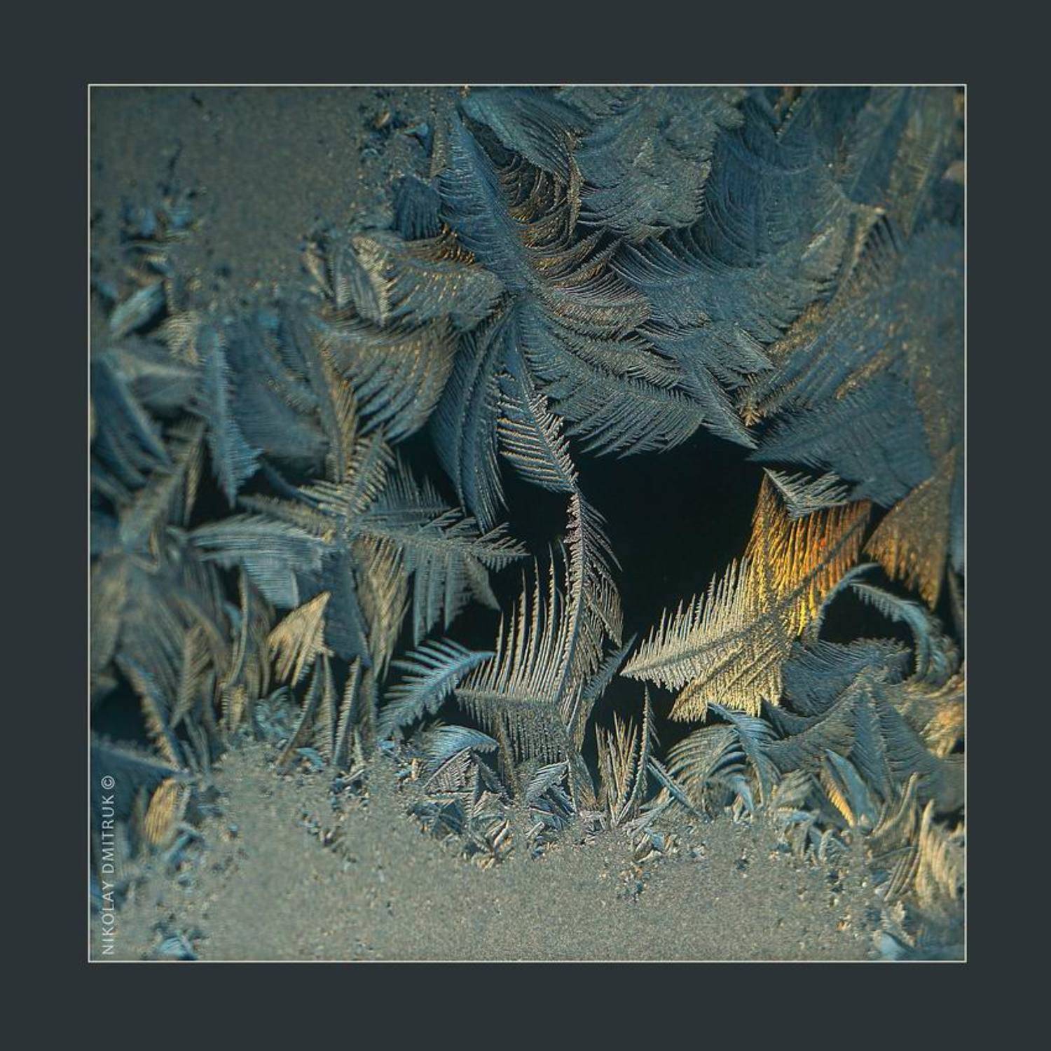 природа, музыка, зима, николай дмитрук