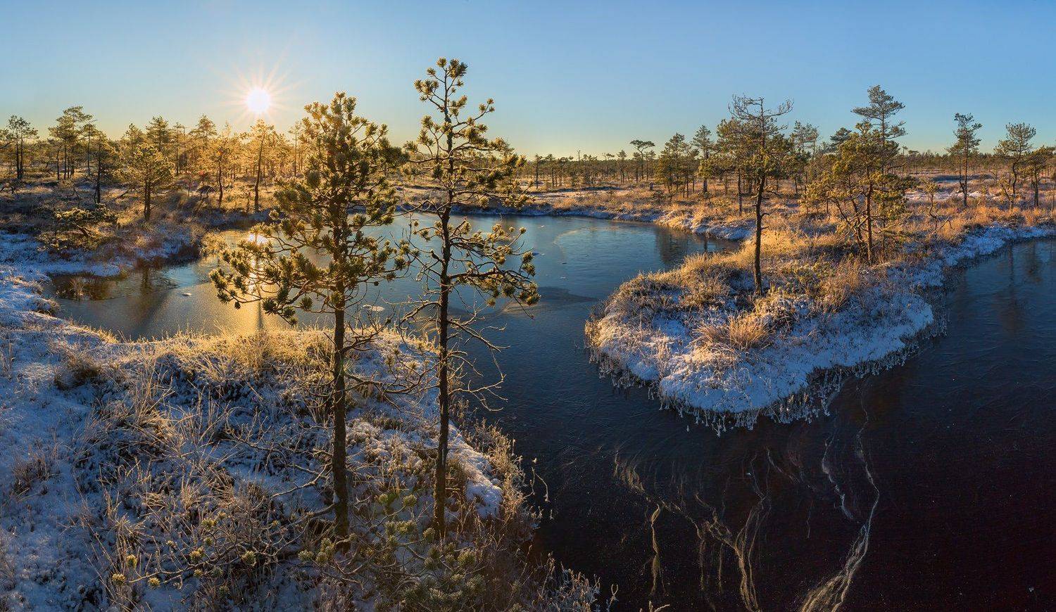 фототур, ленинградская область, деревья, сосна, болото, рассвет, иней, мороз, озеро, снег, заморозки, солнце, остров., Лашков Фёдор