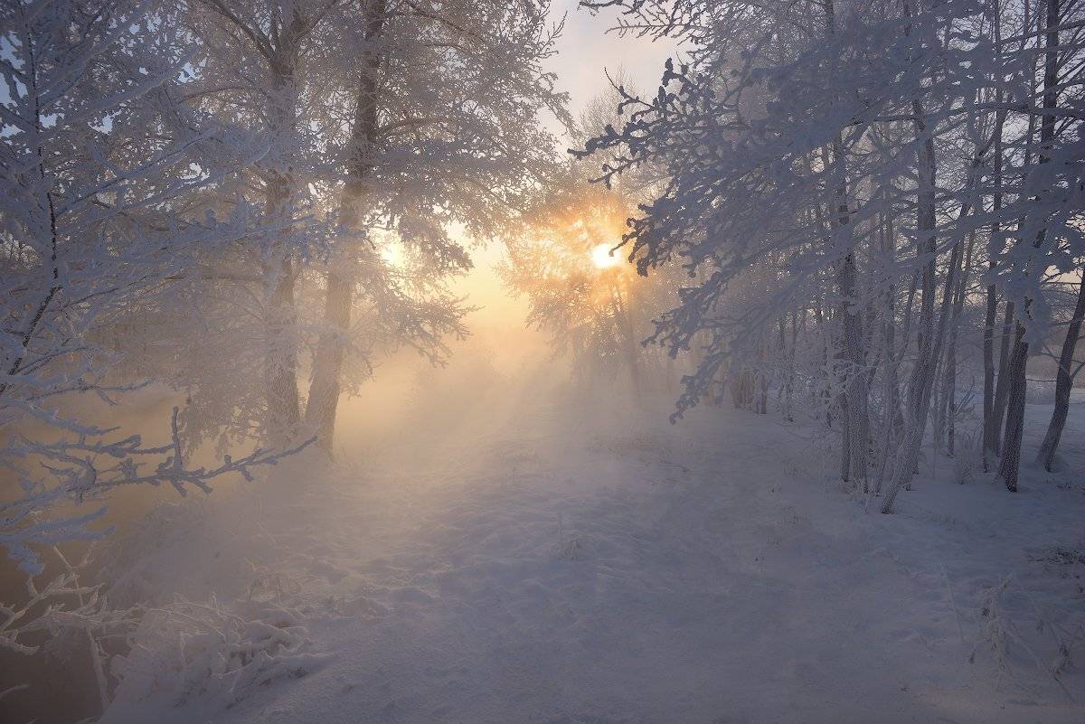 , Романский Владимир (NikonZoom)