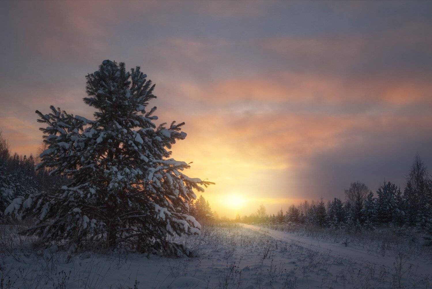 Зима, лес, поле, закат, снегопад, тропа, Смольский Евгений