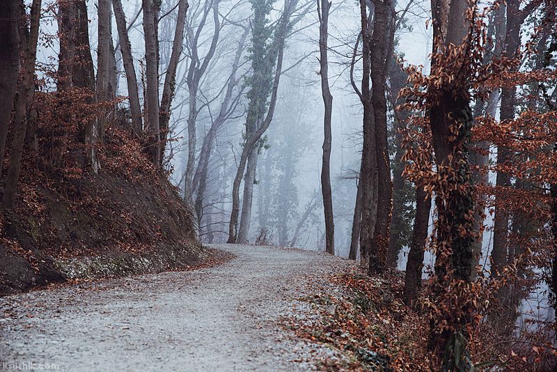 *** фото превью