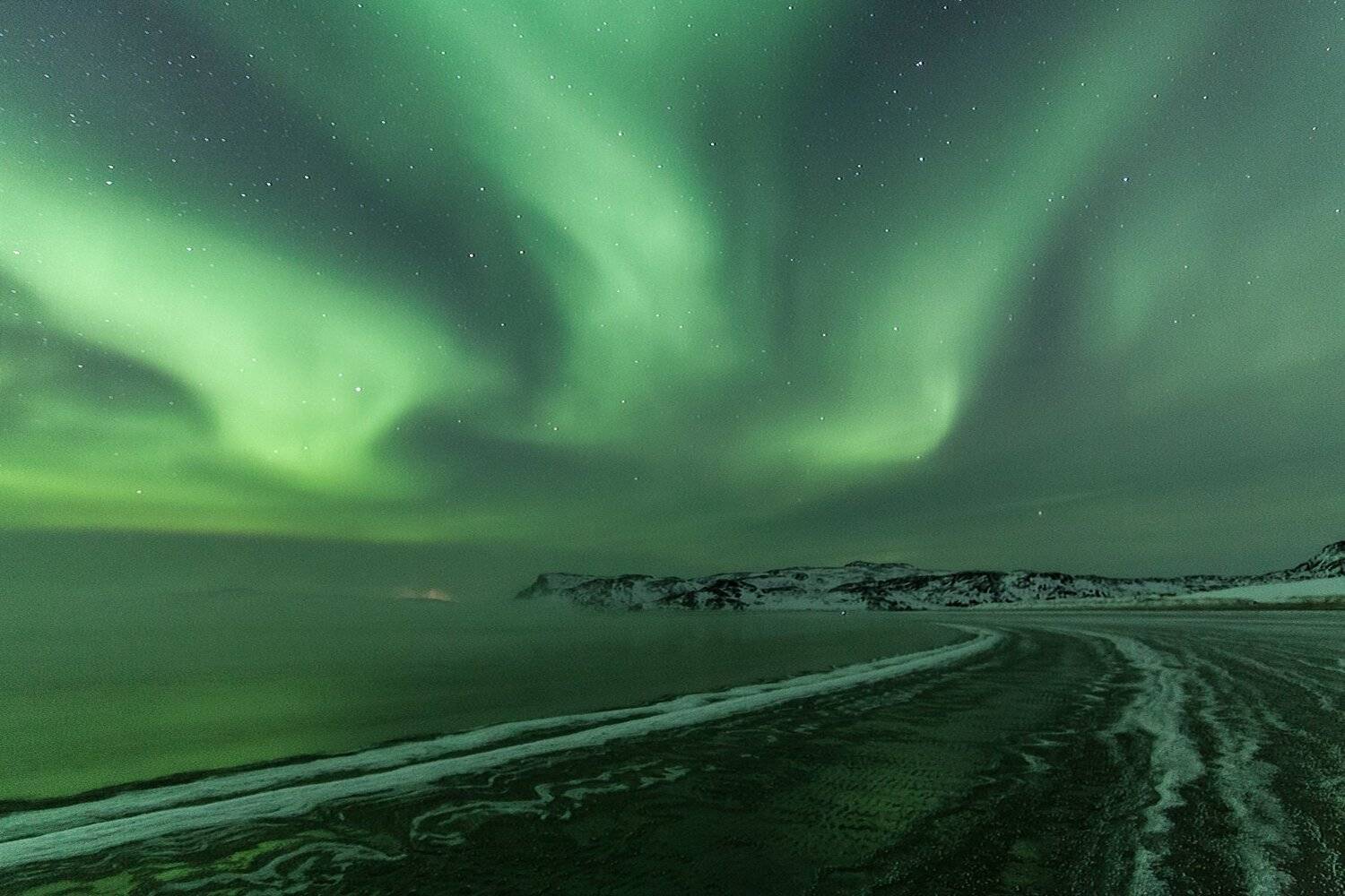 териберка, Daemus